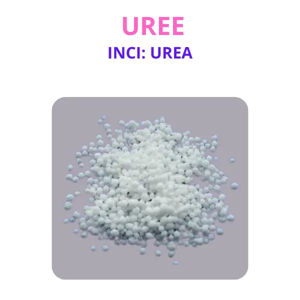 Urée