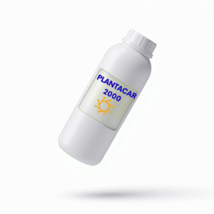 PLANTACAR 2000